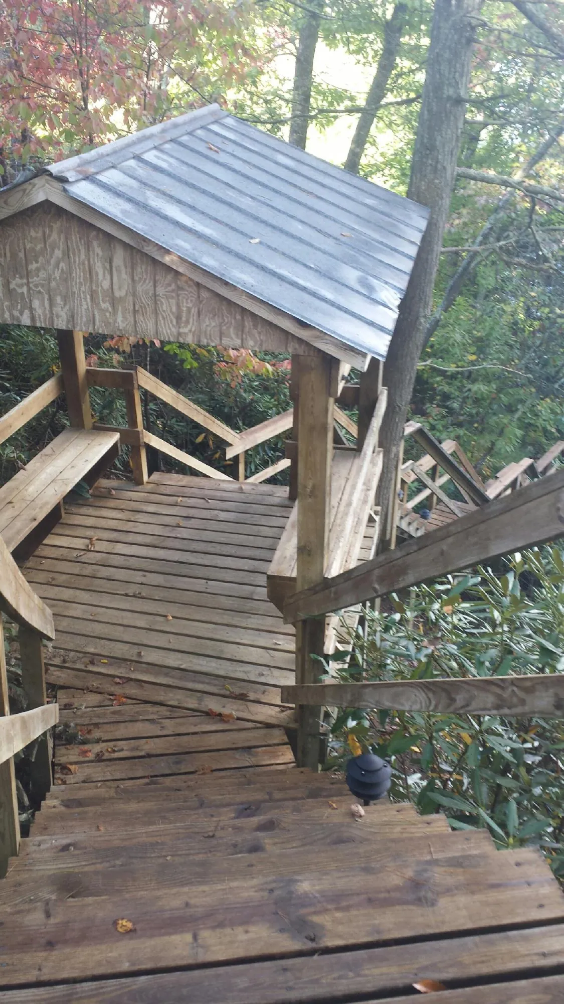 Metal roofed shelter over wooden steps on a wooded walkway in Tangent