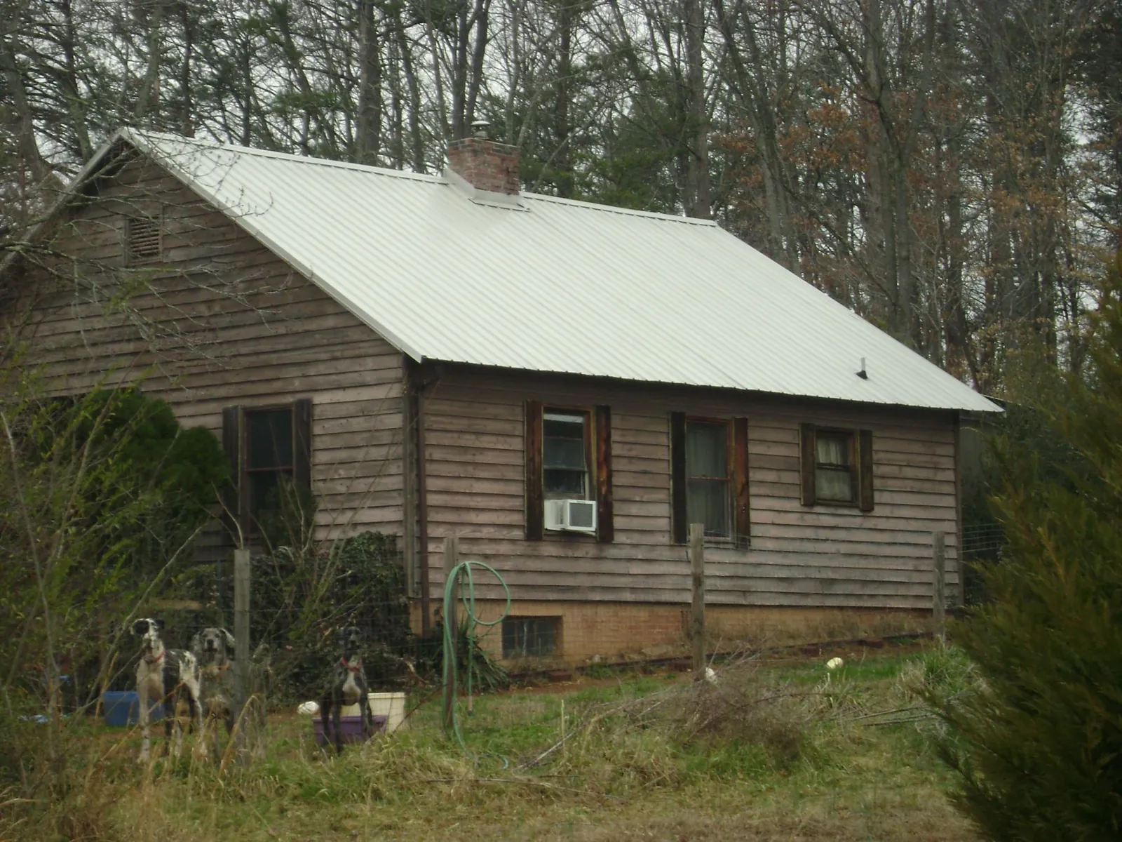 White metal roof on an old wood sided farmhouse, from a Asphalt Shingle Roof Repair job in Tangent